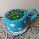 استفاده از بازیافتی ها